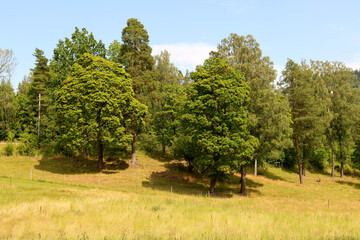 Park