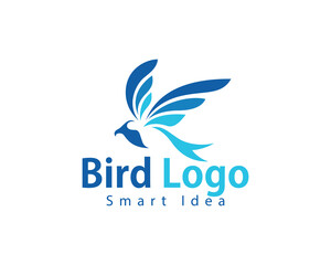 bird logo creative design concept flying animal icon vector