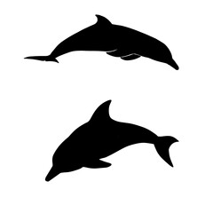 dolphin silhouette isolated on white background