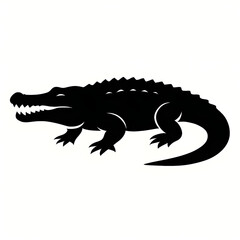 Obraz premium crocodile isolated on white silhouette