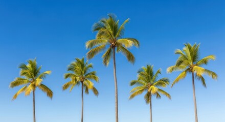 Five palm trees against a clear blue sky.
