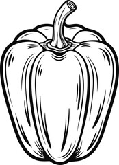 hand drawn vector illustration of a tomato