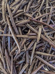 Gousses de vanille bourbon 