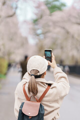 Woman tourist sightseeing and taking photo Sakura Cherry Blossom in Spring. traveler travel in...