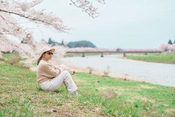 Woman tourist sightseeing Sakura Cherry Blossom in Spring. Happy traveler travel near Hinokinai...