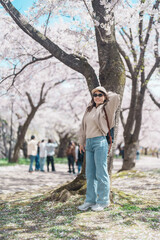 Obraz premium Woman tourist sightseeing Sakura Cherry blossom at Morioka Castle Ruins park in Spring, happy traveler travel in Iwate Park, Iwate prefecture, Japan. famous Landmark Travel and Vacation destination