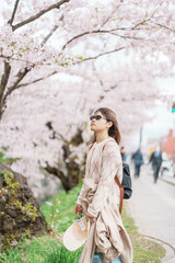 Woman tourist sightseeing Hirosaki Castle park with Sakura Cherry Blossom in Spring, traveler...
