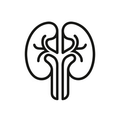 Human kidney outline icon isolated on white background