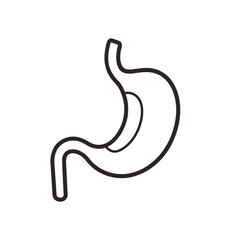 Human stomach outline icon isolated on white background