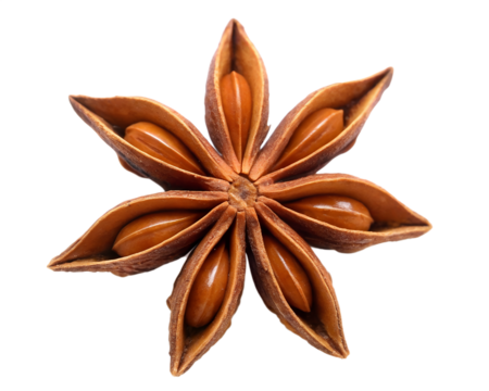 Discover the aromatic allure of a single star anise spice, a natural, warm brown starburst ready to enhance your culinary creations and add a touch of exotic elegance.