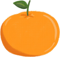 orange fruit with crayon digital illustration