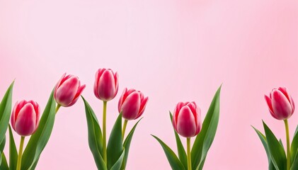 Fototapeta premium Warm Pink Gradient Spring Background