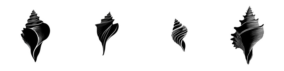 Obraz premium Seashells Black and White Collection, Ocean Shells, Isolated