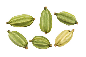 Six whole green cardamom pods with visible striations and dried stems isolated on transparent background