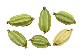 Six whole green cardamom pods with visible striations and dried stems isolated on transparent background