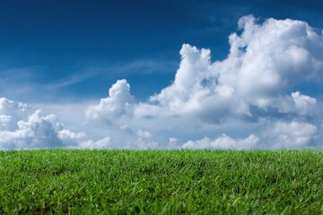 Obraz premium Baseball Blue Sky. Isolated Green Grass Field Against White Background with Blue Sky and Clouds