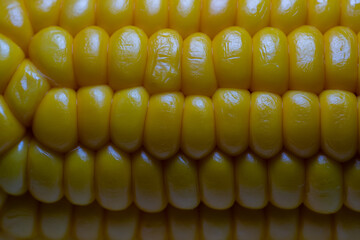 Close up of a sweetcorn