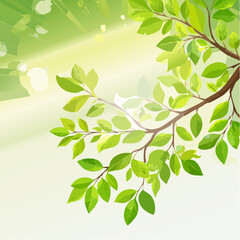Fototapeta premium Rich green tree branch with roundish bokeh