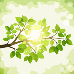 Obraz premium Rich green tree branch with roundish bokeh
