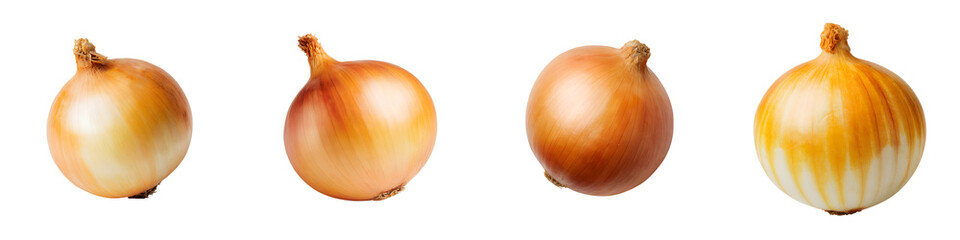 Four Golden Onions on White Background - Healthy Food