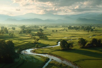 Obraz premium Rice fields in northern Thailand