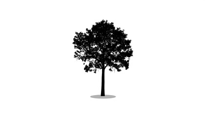 Silhouette of a tree against a white background.  Simple and stylized