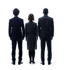Silhouette of a multinational business group