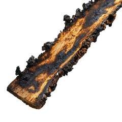 Charred wooden plank