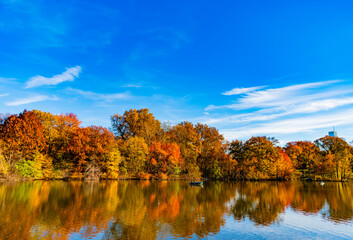 Rowboat on a small lake at the Central Park. Central Park Lake in autumn with people rowing boat. Central Park on sunny autumn day change colors. Autumn landscape. Fall nature. Nature views