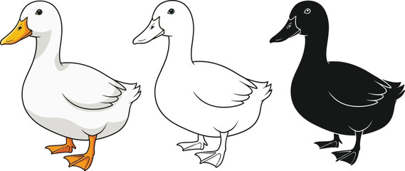 Duck vector illustration set, white duck, outline duck, black silhouette duck, fowl illustration