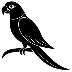 Obraz premium Elegant parrot perched on a branch silhouette vector illustration