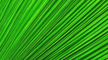 Detailed close-up view of vibrant green palm frond veins.