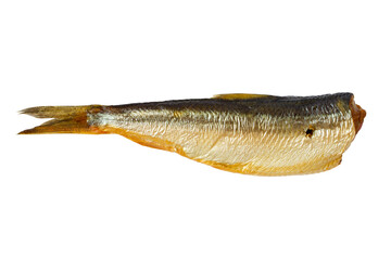 Smoked fish sprats isolated on a white background. One smoked fish close-up.
