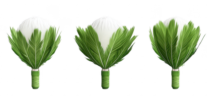 Three stylized vegetables illustration on transparent png background - Powered by Adobe