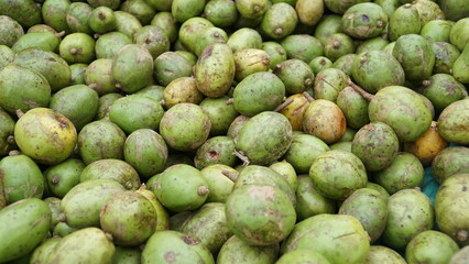 ambarella fruit harvested by farmers