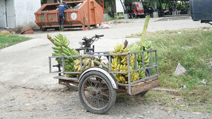 Fototapeta premium banana sellers at the traditional market in the morning