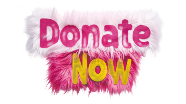 The words donate now in glittery pink and yellow text with fluffy pink and white fur isolated on transparent background - Powered by Adobe