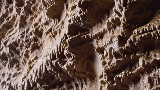 Cave Wall with Dripstone Texture and Eroded Organic Details
