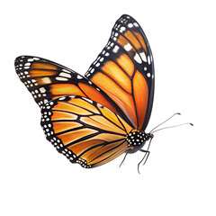 Fototapeta premium A monarch butterfly with detailed wings isolated on transparent background