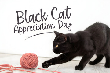 Celebrating Black Cat Appreciation Day with an adorable black cat playfully batting at a ball of pink yarn.