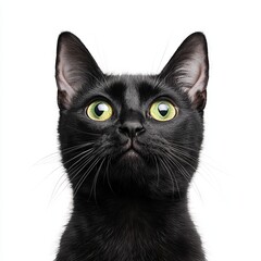 A close-up portrait of a black cat with striking green eyes.