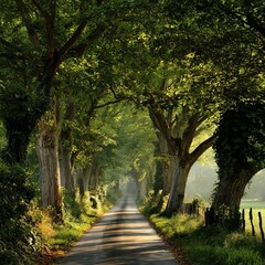 Fototapeta premium Green park alley with trees and a winding path, showing the beauty of nature through spring and summer foliage