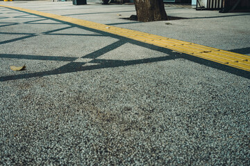 Yellow Tactile Paving Guiding Line on Grey Pavement with Strong Shadows and Tree