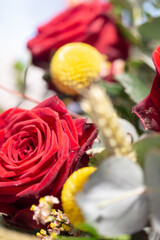 Red rose flower in bloom with smooth petals in a flower bouquet close up still