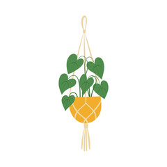 Macrame Plant Hangers with Green Plants in Pots for Home Decor, Interior Design, and Boho Style Modern Indoor Gardening Ideas for Apartments and Living Rooms.