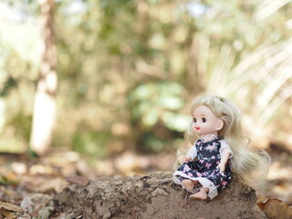 ( Hi-resolution and Hi-sharpness from Hi-efficiency camera and lens )  A cute doll with blurred background autumn forest for background and wall paper.