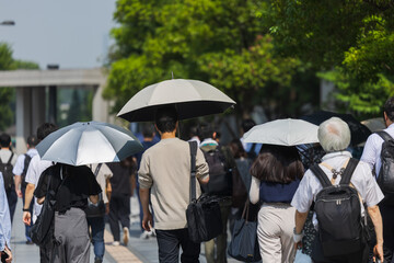 日傘をさす男性の後ろ姿