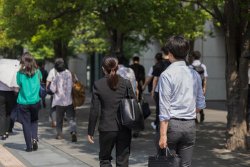 Obraz premium 真夏にスーツを着て出勤する女性の後ろ姿