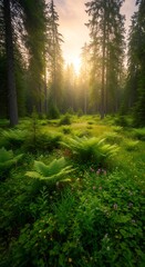 Serene coniferous forest bathed in golden sunlight, with ferns below
