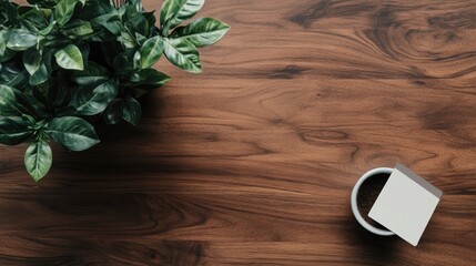 Overhead shot of a dark wood surface with a potted plant in the upper left corner and a small white container with a blank notecard in the lower right.  Natural light casts soft shadows